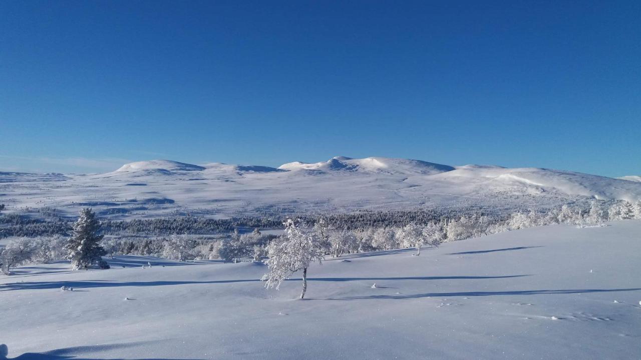 Storsaetra Fjaellhotell Grövelsjön Bagian luar foto